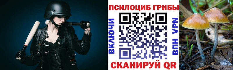 Галлюциногенные грибы мицелий  Закаменск 